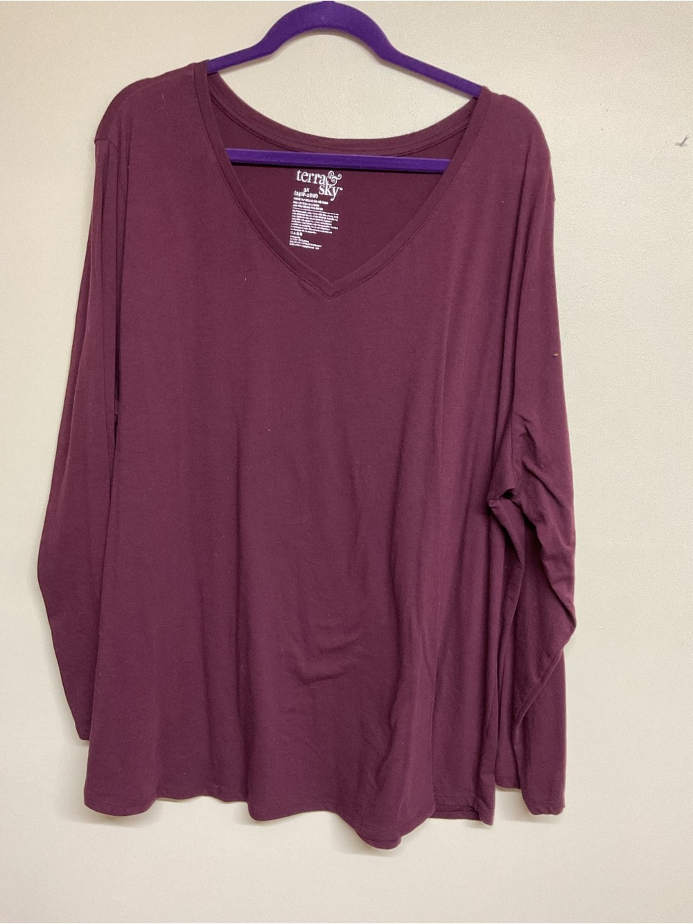 Terra & Sky Long Sleeve V-Neck Top in Plum